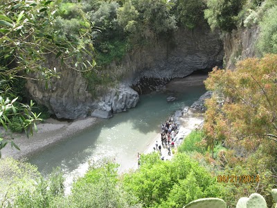 Photos of Parco dell'Etna