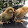 jahamgeer pazhavila jahamger pazhavila jahamgeer pazhavila jahamger pazhavila's profile photo