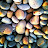 Daniel Clarke avatar image