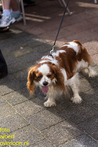 UNICEFLOOP in Overloon 28-09-2014 (30).jpg