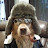 Pavel Hrdina avatar image