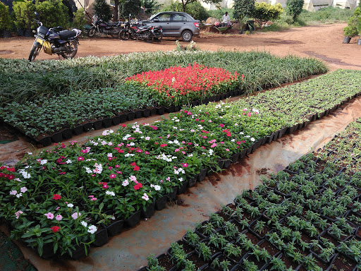 A-ONE BIOTECH &TISSUE CULTURE PVT. LTD., Plot No. N 3, Floriculture Park, M.I.D.C.,, Talegaon Dabhade, Tal. Maval, Pune, Maharashtra 410560, India, Plant_Nursery, state MH