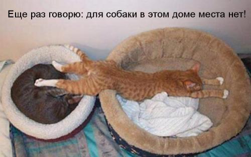 Ни дня без улыбки. Законы подлости для кухни Ни дня без улыбки. Законы подлости для кухни