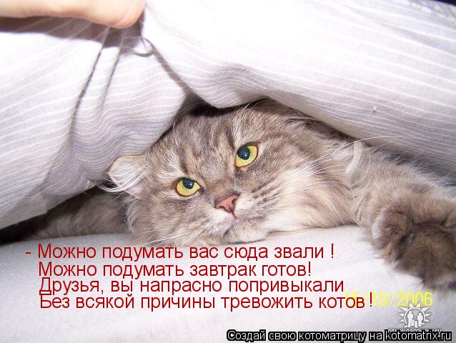 Ни дня без улыбки: последняя в июне... Ни дня без улыбки: последняя в июне...