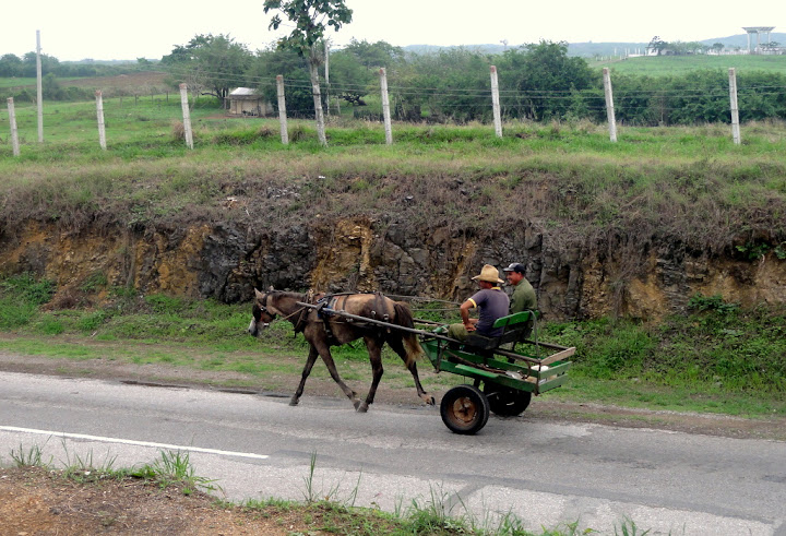 Horse carriage Cuba
