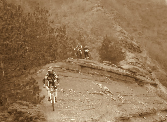 P1000260.JPG