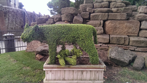 Lupa Romana