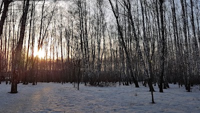 Photos of Medvedkovskiy Lesopark