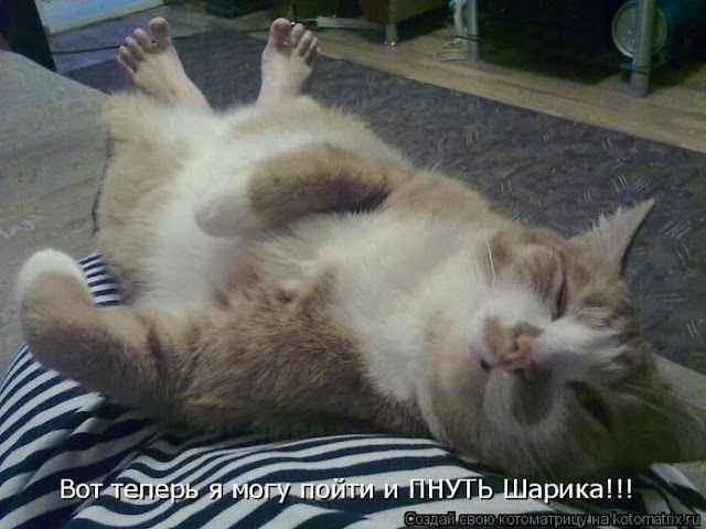 Ни дня без улыбки. Цитаты из школьных сочинений. Часть 2 Ни дня без улыбки. Цитаты из школьных сочинений. Часть 2