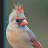 tiny martinez avatar image