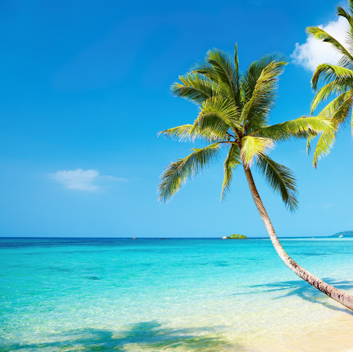 NRMA Ocean Beach Holiday Resort, Umina – Updated 2022 Prices