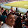 Harold Velasco Harold Velasco's profile photo