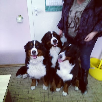 Photos of Veterinarnaya Klinika Radan
