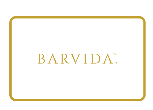 BARVIDA. logo