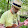 Eric Guerin Eric Guerin's profile photo