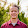 Lee Van Horn Lee Van Horn's profile photo