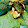 Athelonia Alonso Athelonia Alonso's profile photo