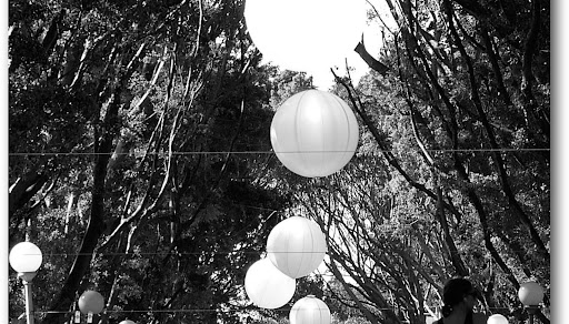 NZBlogPhoto21-2007-05-25-03-45.jpeg