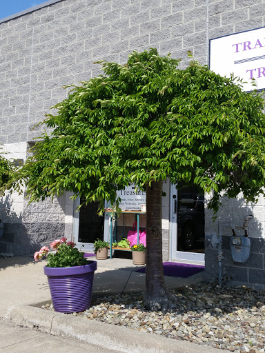 Thrift Store «Transitional Treasures», reviews and photos, 601 Towpath Rd e, Broadview Heights, OH 44147, USA