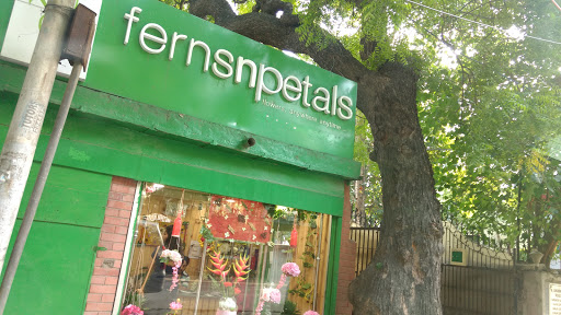 Ferns N Petals: Florist in Delhi, 6, Underhill Road New Delhi, Civil Lines, New Delhi, Delhi 110054, India, Souvenir_Shop, state UP