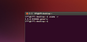 Kernel Linux 3.9.8 su Ubuntu 13.04 Raring