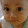 ikamaya sari ikamaya sari's profile photo