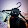 Captain Sushii Captain Sushii's profile photo