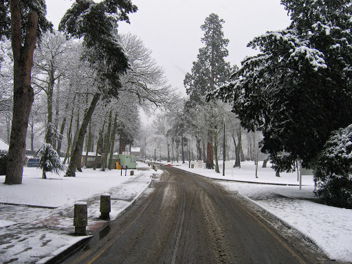 Brooklands College - Weybridge Campus