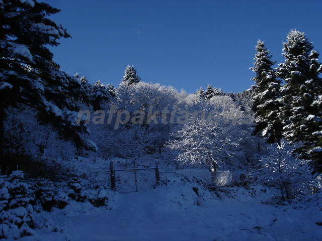  Στα λευκά η Ορεινή Ναυπακτία.Σπάνιας ομορφιάς εικόνες από την Άνω Χώρα.!!!!