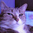 Maribel Valdez avatar image