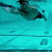 Chase Damis avatar image