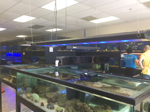 Tropical Fish Store «Aqua Aquarium», reviews and photos, 8805 Jones Rd a101, Jersey Village, TX 77065, USA