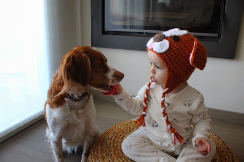 Not 2 late to craft: Barret-gos de ganxet  / Crochet dog hat pattern