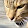 Steve Lochner Steve Lochner's profile photo