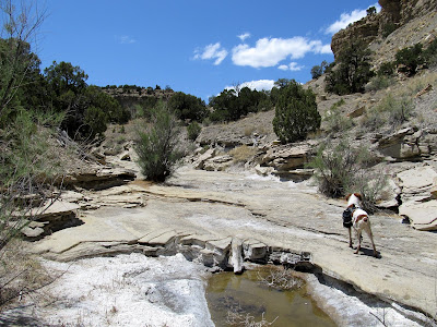 North Fork of Garley Canyon