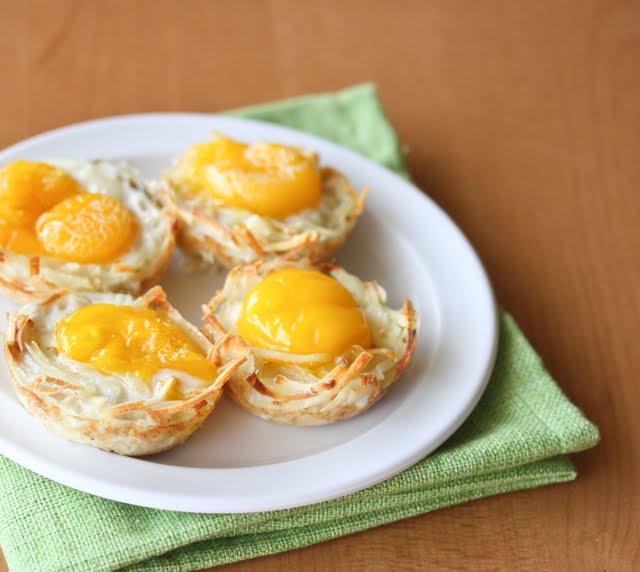 Egg Nests