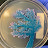 Ngan Dam avatar image