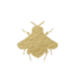 Bee's Beauty Lounge logo