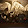 José Miguel Hidalgo José Miguel Hidalgo's profile photo