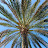 Erik Toman avatar image