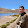Diogo Falcomer Diogo Falcomer's profile photo