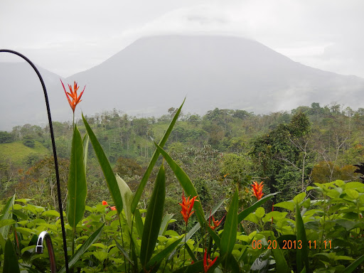 photo of Leaves and Lizards Arenal Volcano Cabin Retreat