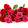 Vidhya k Vidhya k's profile photo