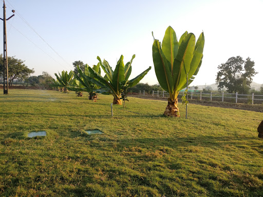 Huzur-Paga Horse Riding Academy by Harshal Sukdeo Ushir, Vilas kaka nagar, Sule wadi road, Makhmalabad, MHSH26, Matori, Nashik, Maharashtra 422004, India, Horse_Riding_School, state MH