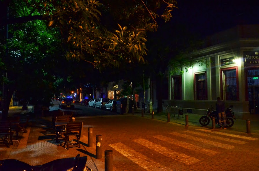 DSC_8584.JPG