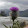 CR Campbell CR Campbell's profile photo