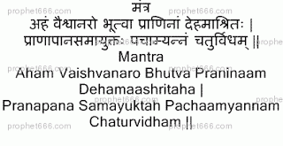 Bhagavad Gita Mantra To Clean The Body