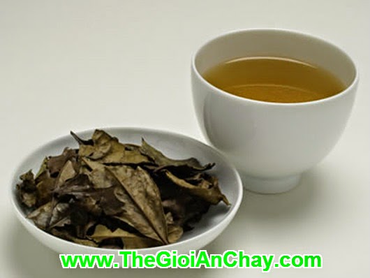 Tác dụng của trà Bancha lâu năm