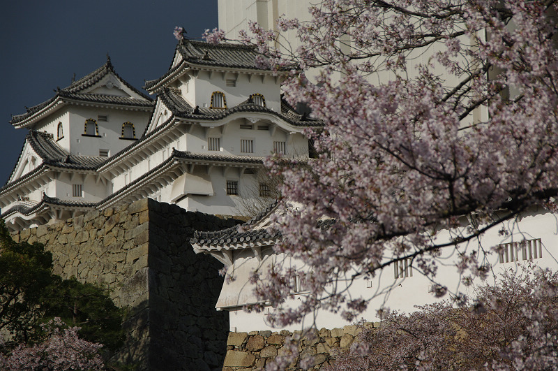 日本行