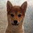 Matt Colvin avatar image